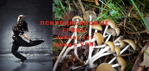 гидропоника Балахна