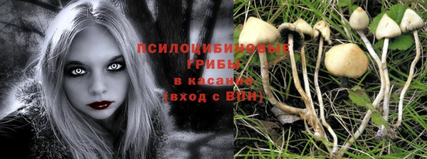 гидропоника Балахна
